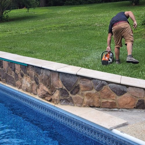 03bf0377-4feb-4049-b51b-af64d7cca974